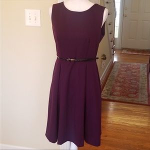 Calvin Klein A-Line Plum Dress with Belt